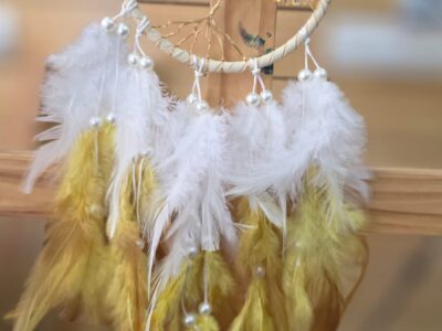 WhatsApp Image 2026-01-16 at 3.57.04 PM (1)