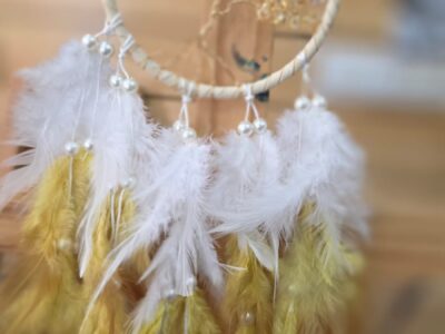 WhatsApp Image 2026-01-16 at 3.57.04 PM