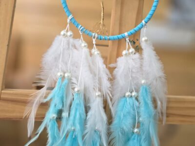 WhatsApp Image 2026-01-16 at 3.57.05 PM (1)