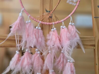 WhatsApp Image 2026-01-16 at 3.57.06 PM (2)