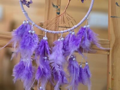 WhatsApp Image 2026-01-16 at 3.57.07 PM (1)