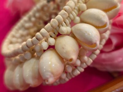 WhatsApp Image 2026-01-16 at 3.56.53 PM (1)