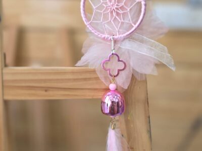 WhatsApp Image 2026-01-16 at 3.57.02 PM (3)