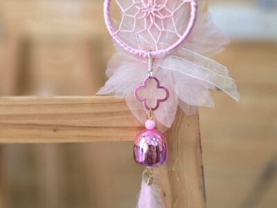 WhatsApp Image 2026-01-16 at 3.57.03 PM