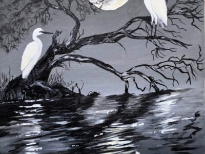 two white crane 1