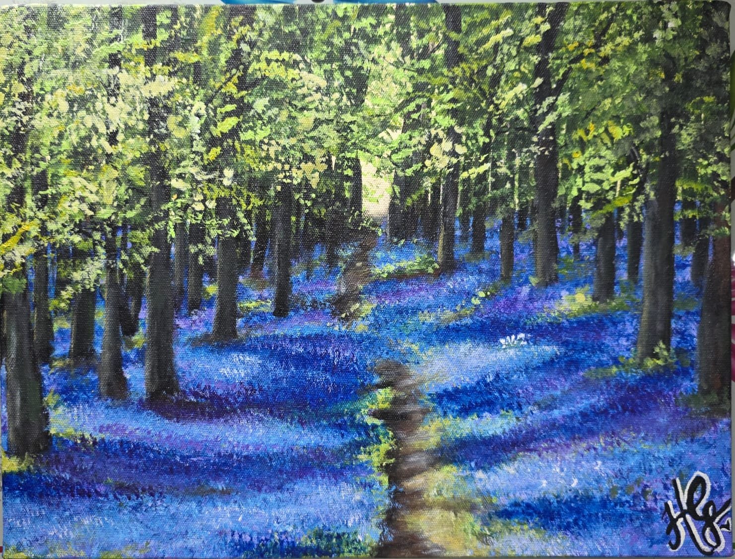 Shadow & Bluebells 1