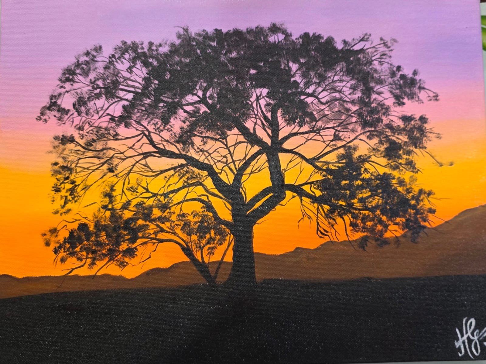 desert sunset